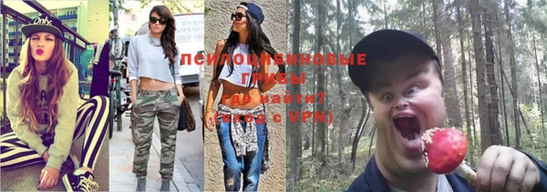 кокс Армянск