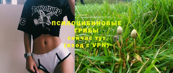 крисы Арсеньев