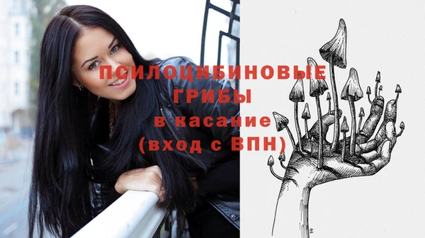 крисы Арсеньев