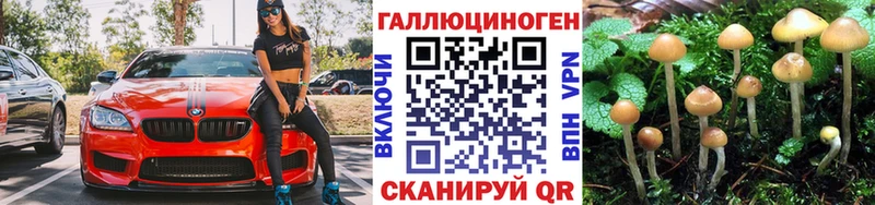 наркота Арск Галлюциногенные грибы мицелий
