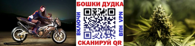 закладка Арск Бошки Шишки гибрид